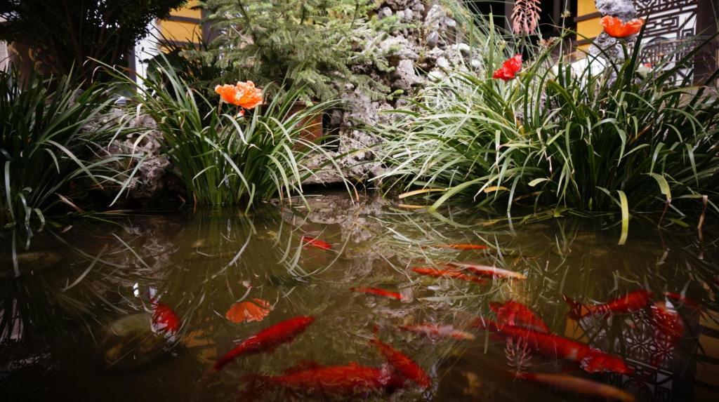 Lijiang Wangjia Courtyard Inn エクステリア 写真