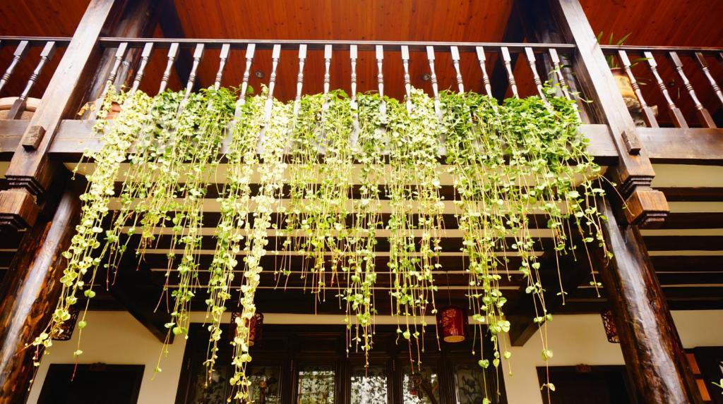 Lijiang Wangjia Courtyard Inn エクステリア 写真